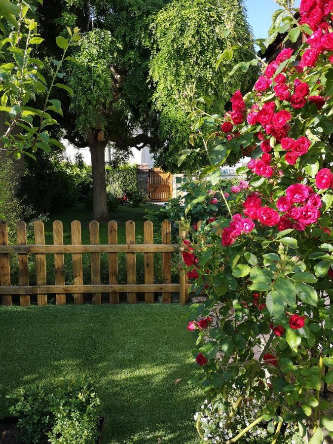 La Roseliere Maison Plain Pied Confortable Belle Decoration Jardin Magnifique 10 Mn A Pied Centre Ville Bayeux Proche Plages Du Debarquement Eksteriør bilde